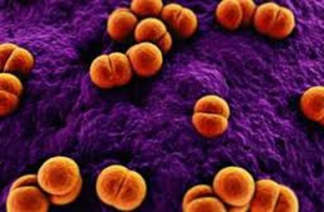 Meningococcal Disease