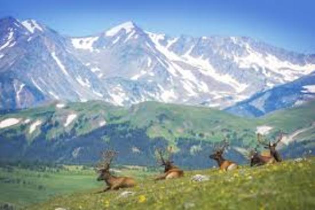 Traveled to Rocky Mountain National Park