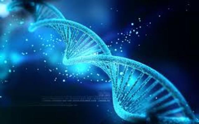 Human genome project