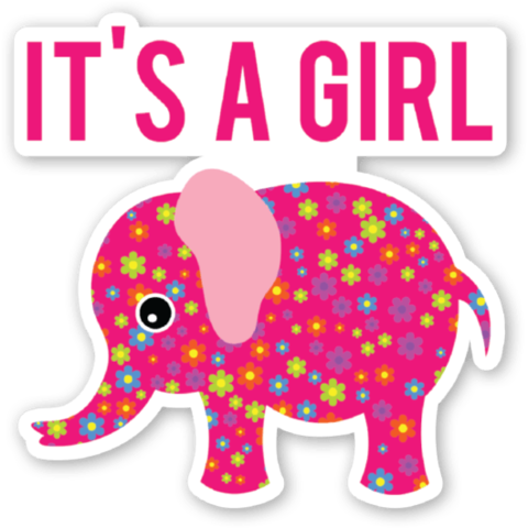 My little sister was born