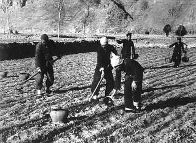 Collectivization begins in North Vietnam