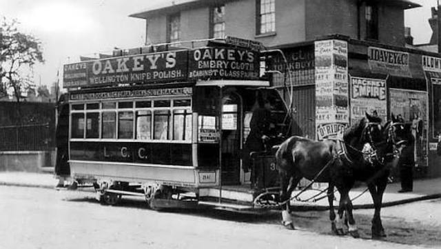 Horse-Drawn Buses