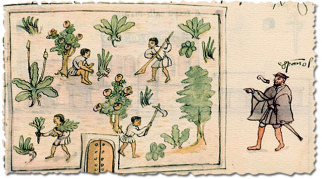 SITUACIÓN DE LOS INDÍGENAS Y LAS CASTAS