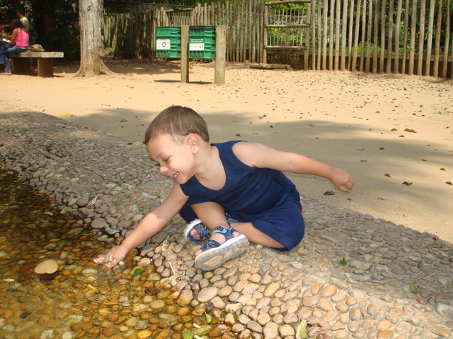 2007 primeira vez no jardim botanico