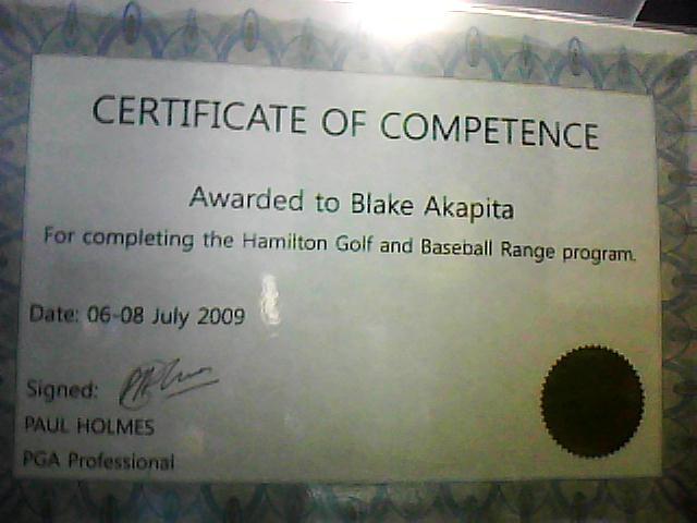 I came first in the Hamilton Driving Range golf academy