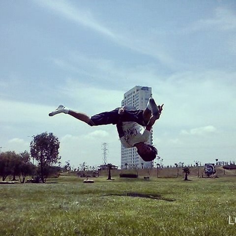 pasion por la gimnasia