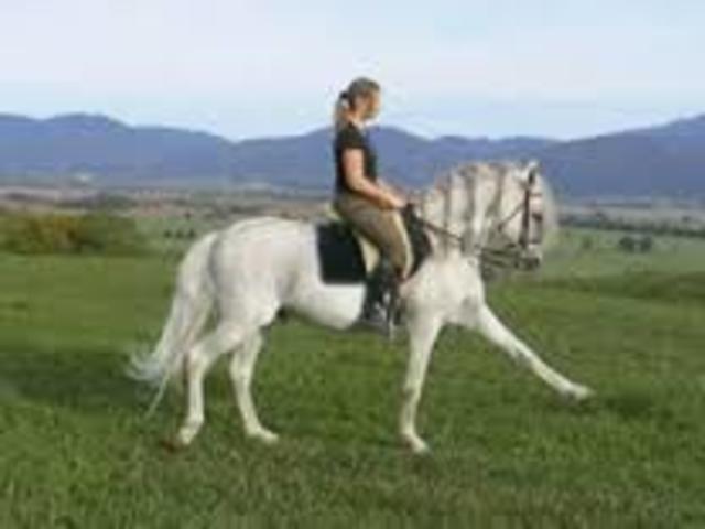 Fui a clases de equitacion