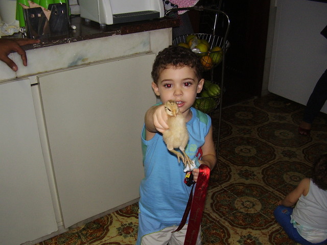 Eu e um filhote da minha calopsíta