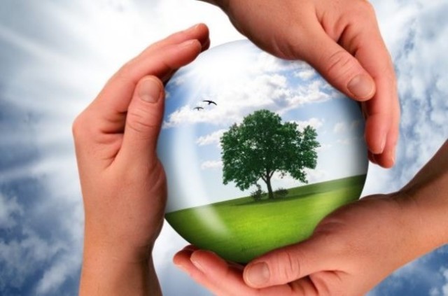 PROTOCOLO DE KIOTO – Sobre el cambio climático