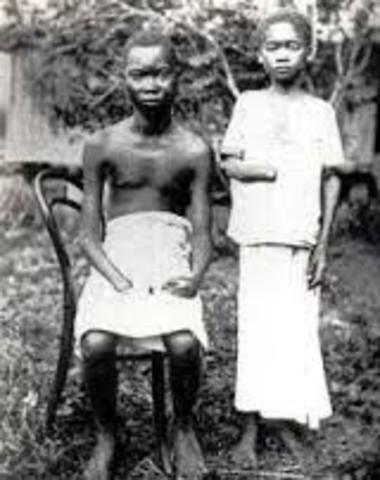 Belgium conquers the Congo