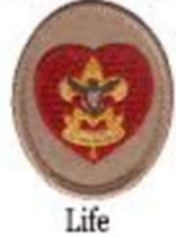 i will earn my life rank