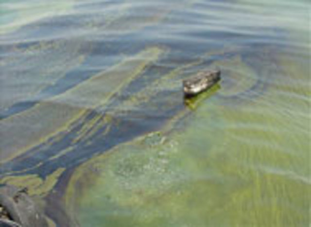 CONVENIO INTERNACIONAL DE RESPONSABILIDAD CIVIL