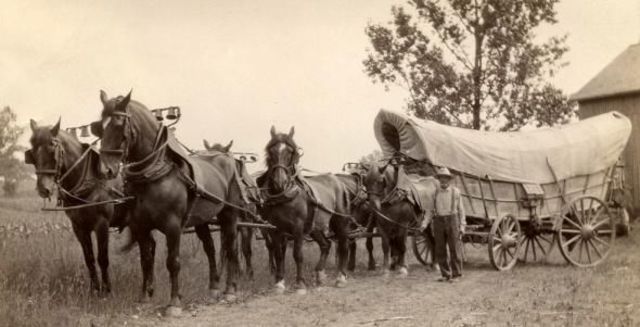 The Prairie Schooner and Conestoga Wagon
