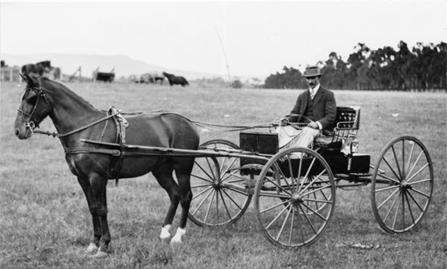 Horse drawn carriage