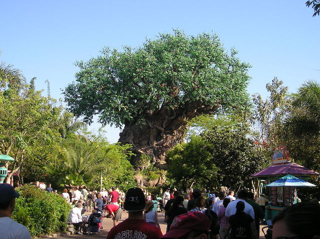 Disney Animal Kingdom abre sus puertas