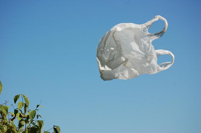 Plastic Bag Ban