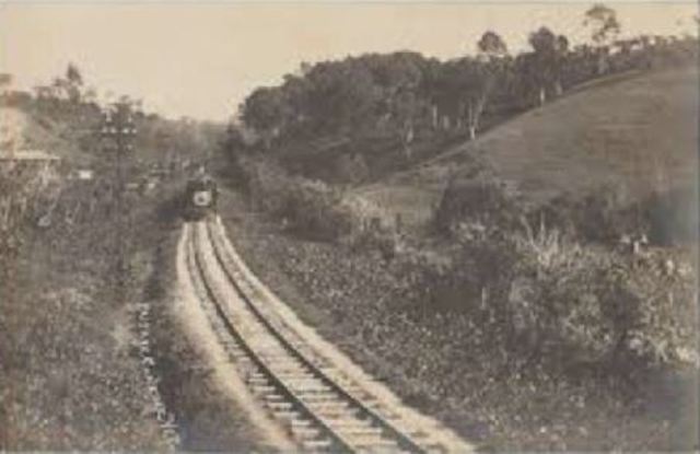 Tren de Veracruz