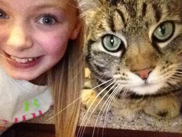 Adoption of my first cat