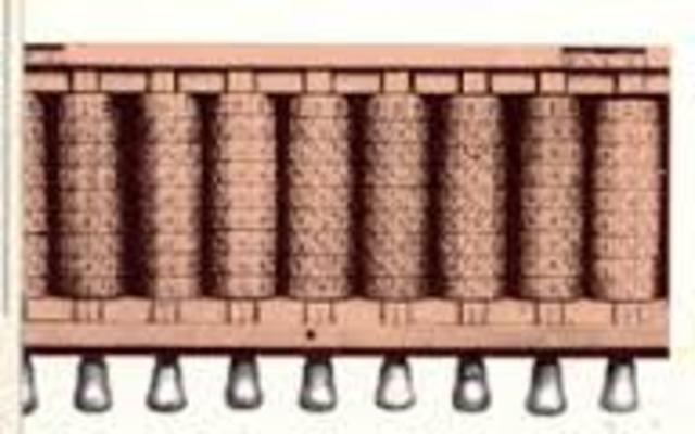 Bastoncillos de Napier