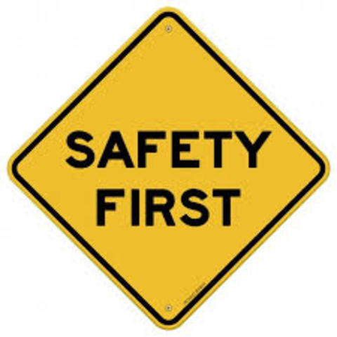 Car Seat belts introduced #3