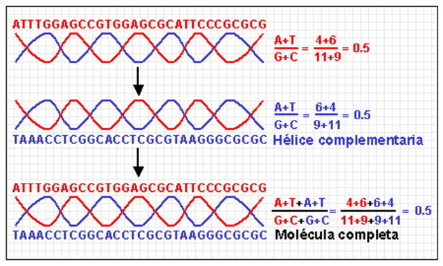 Tecnología en Reversa
