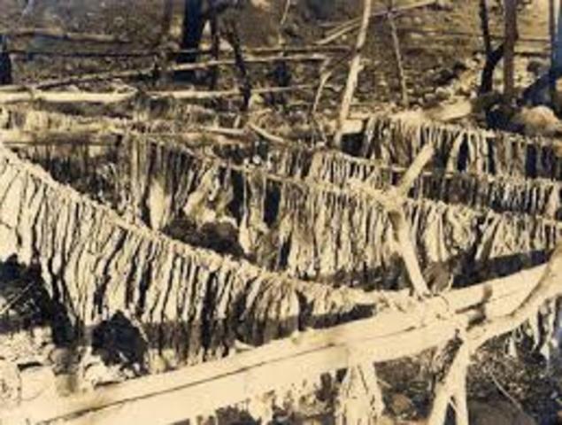 Creación del estanco del Tabaco