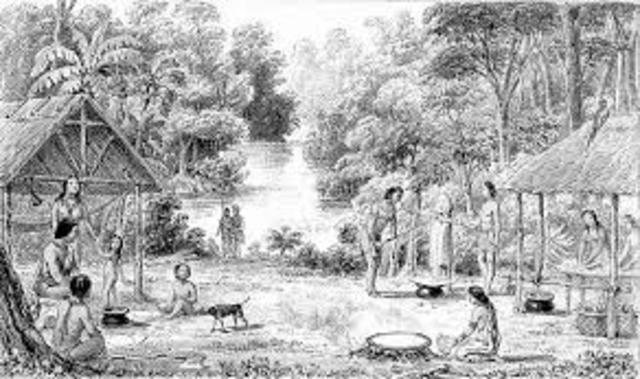 Reparticion de terrenos de comunidades indigenas