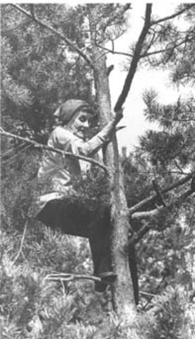 Астрид Линдгрен (Astrid Lindgren), Швеция