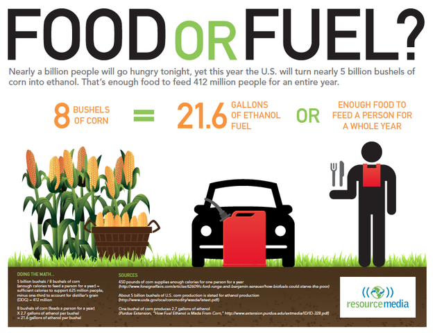 11% of Corn Grown in America becomes Biofuel