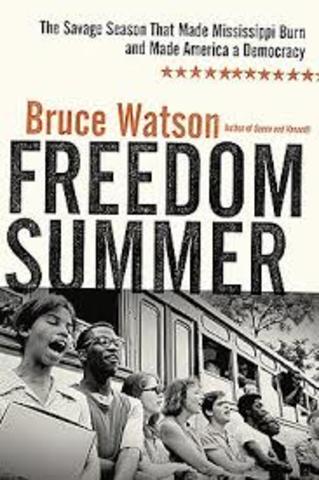 Freedom summer