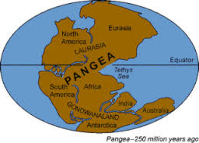Pangea Forms