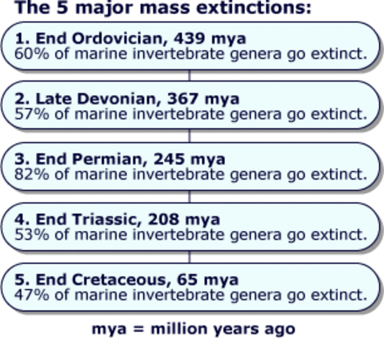 5 Major Mass Extinctions