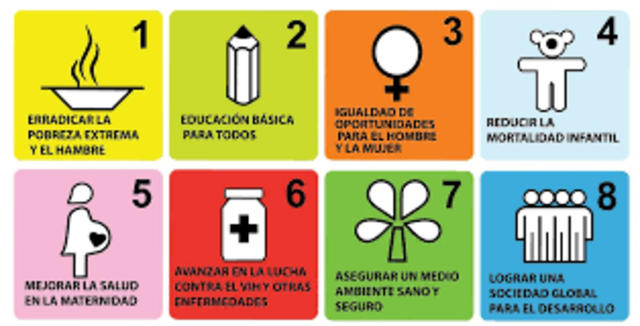 OBJETIVOS DEL MILENIO