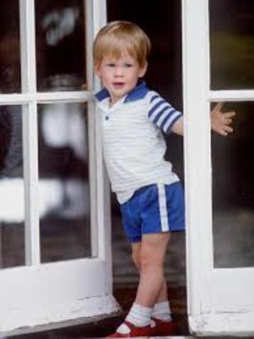 Prince William was born