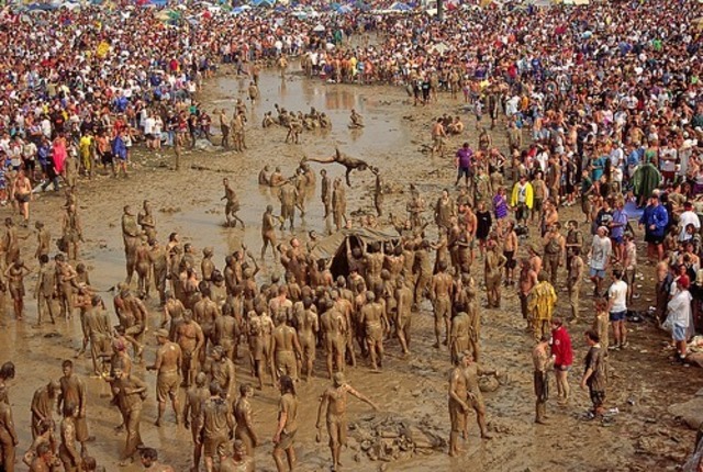 greee day gose to wood stock