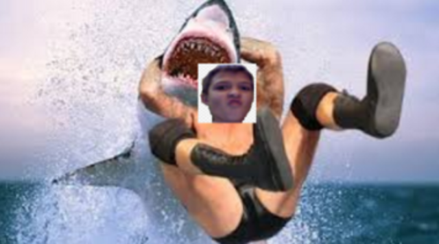 I RKOd a shark