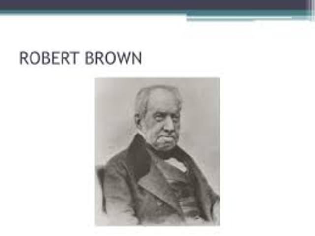 Descubrimiento del núcleo de la célula ecuariota