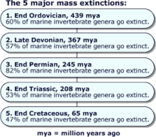 5 mass extinctions