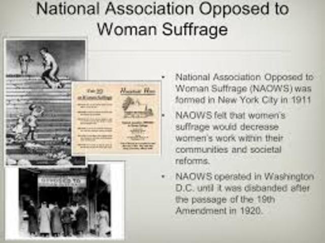 National Association Opposed to Woman Suffrage