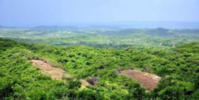 DECRETO 2811 DE 1974