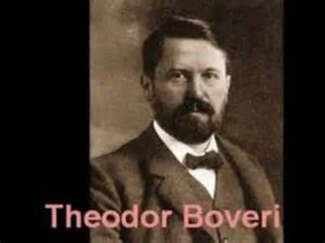 Additional Discovery