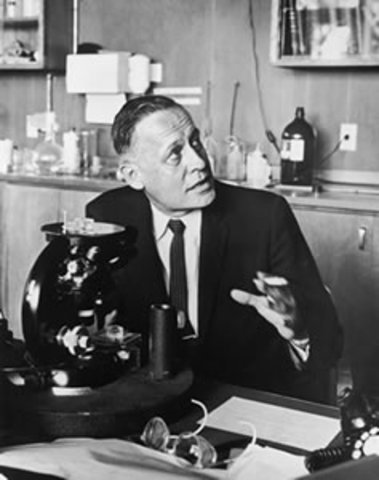 DIOXIDO DE CARBONO ANTROPOGENICO