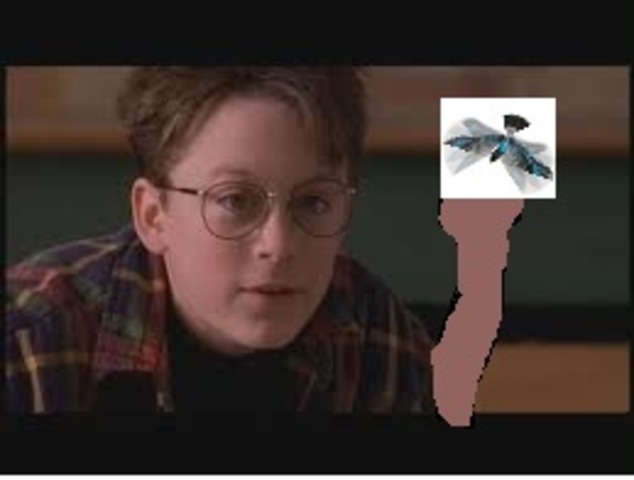 Freak plays with his ornithopter.