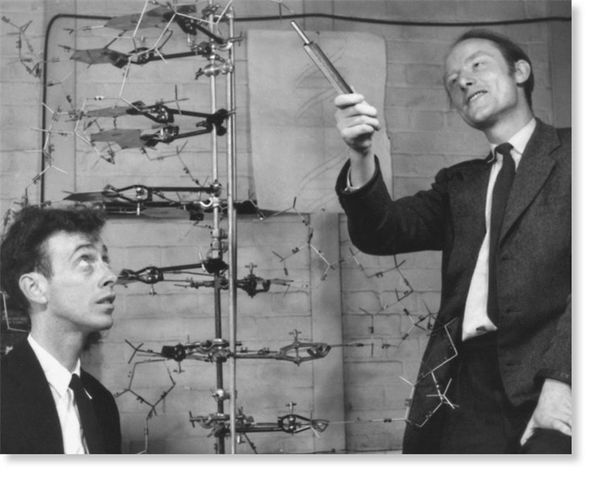 Watson and Crick
