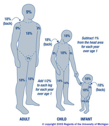 Body Image began to change
