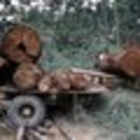 DECRETO  877 DE 1979