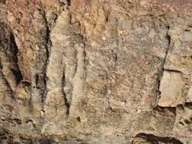 Primeros indicios de seres vivos