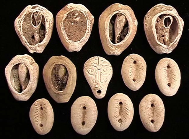 Cowrie Shells