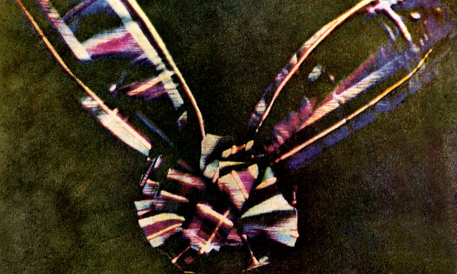 First Color Photograph