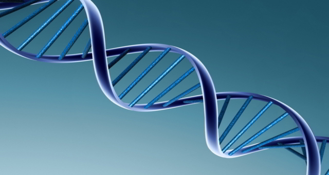 The Human Genome Project is completed